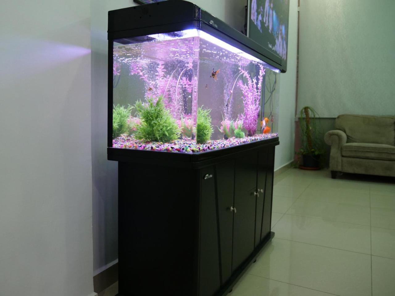 Heidelberg Apartment Kuwait City Exterior foto